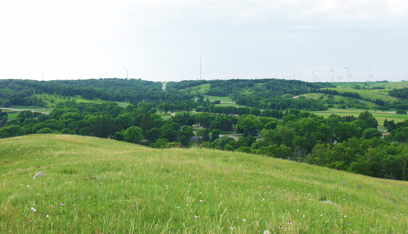 View from the Hill